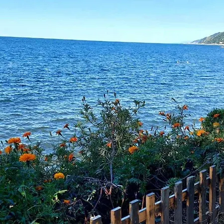 Seafront By The Sea And With A And With Big Garden شقة