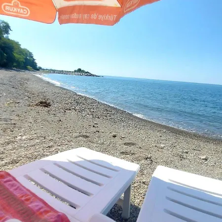 Apartment Seafront By The Sea And With A And With Big Garden Rize
