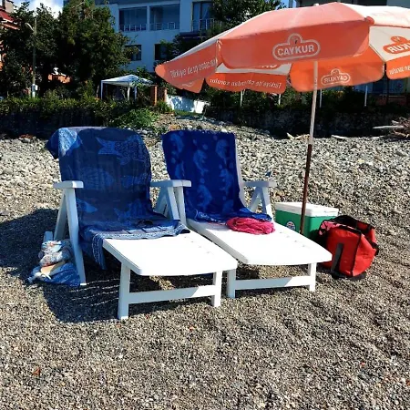 Seafront By The Sea And With A And With Big Garden Apartment