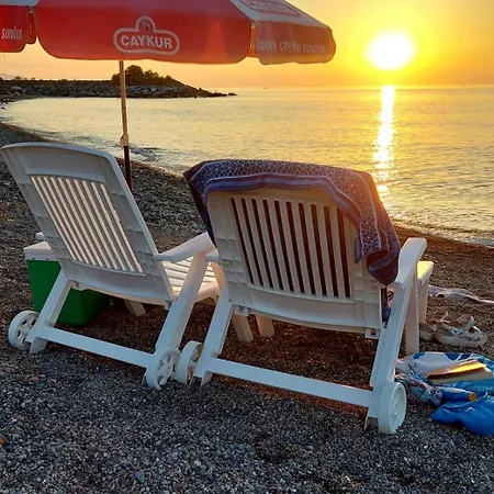 Seafront By The Sea And With A And With Big Garden Apartment Rize