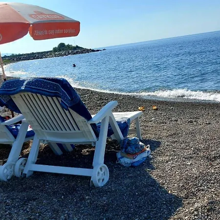 Seafront By The Sea And With A And With Big Garden Apartment