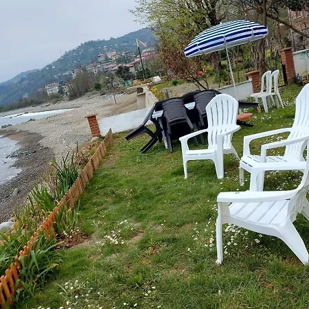 Apartment Seafront By The Sea And With A And With Big Garden